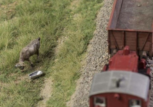 Viehtränke / Zinkwanne